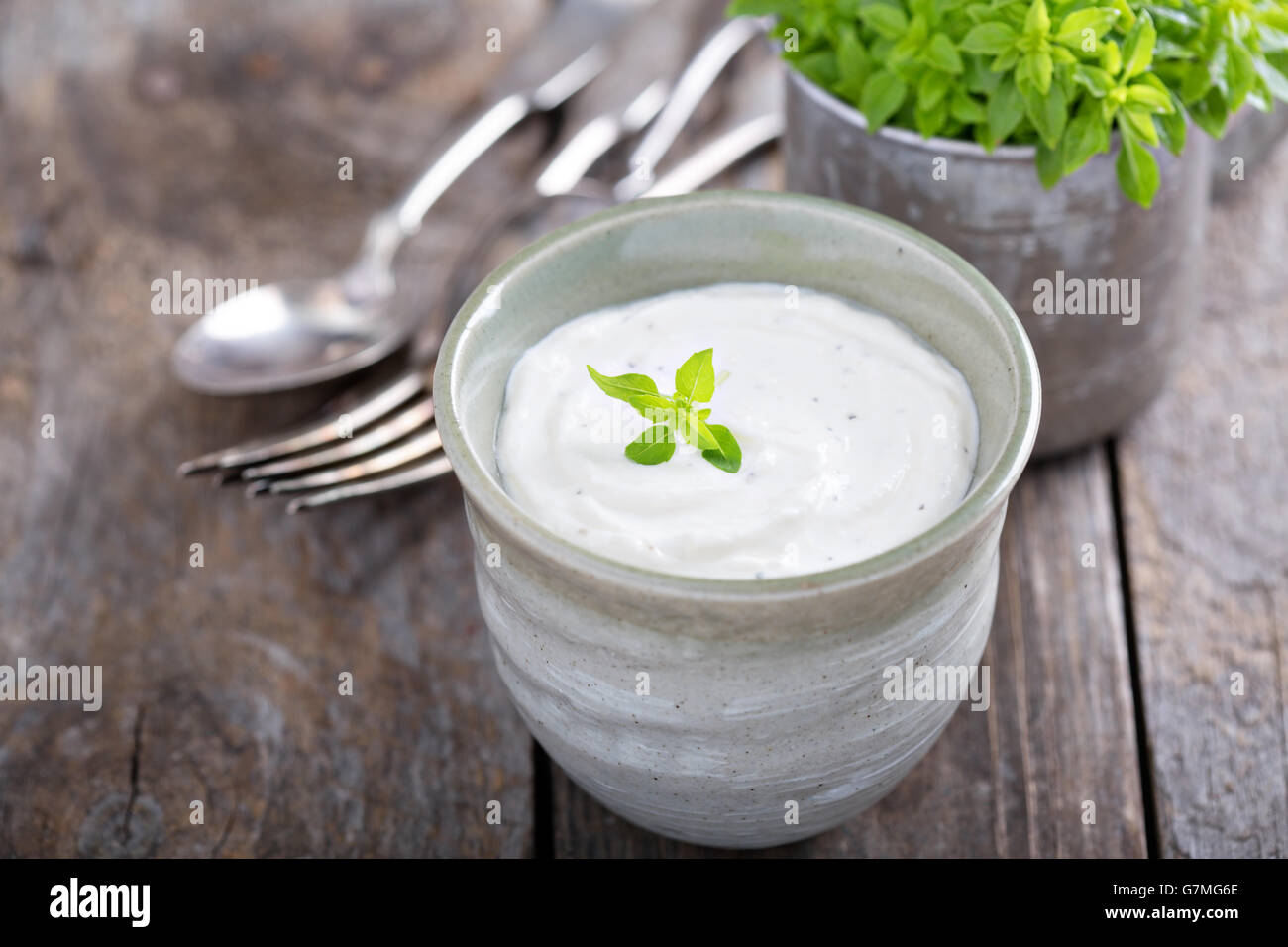 Horseradish and cream sauce Stock Photo