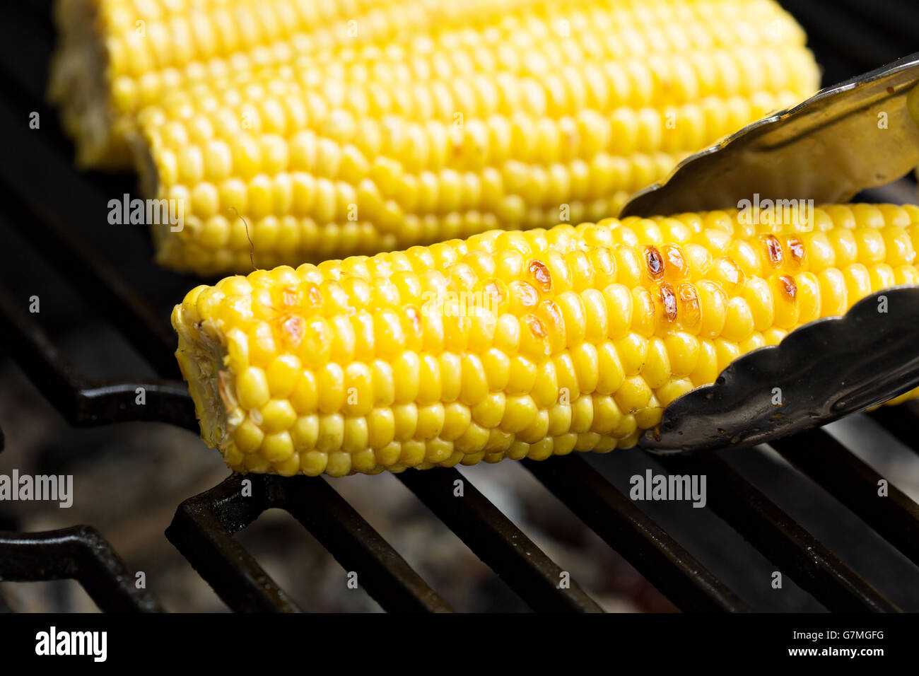 Cooking corn on the cob Stock Photo Alamy