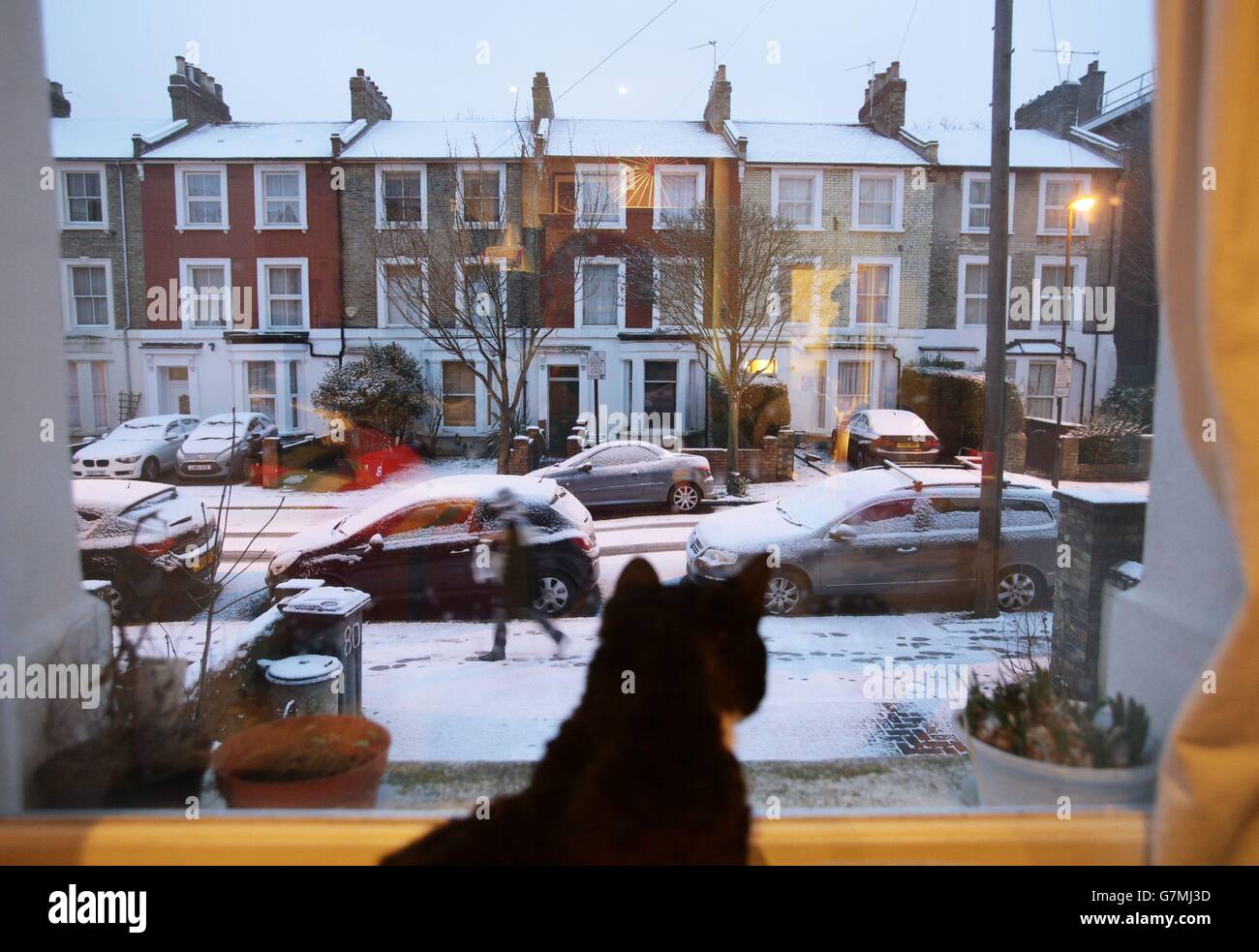 A cat looking out of a window onto a snow covered street in London, as parts of Britain woke up to a blanket of snow with temperatures reaching a spine-chilling -11C (12.2F) in places. Stock Photo