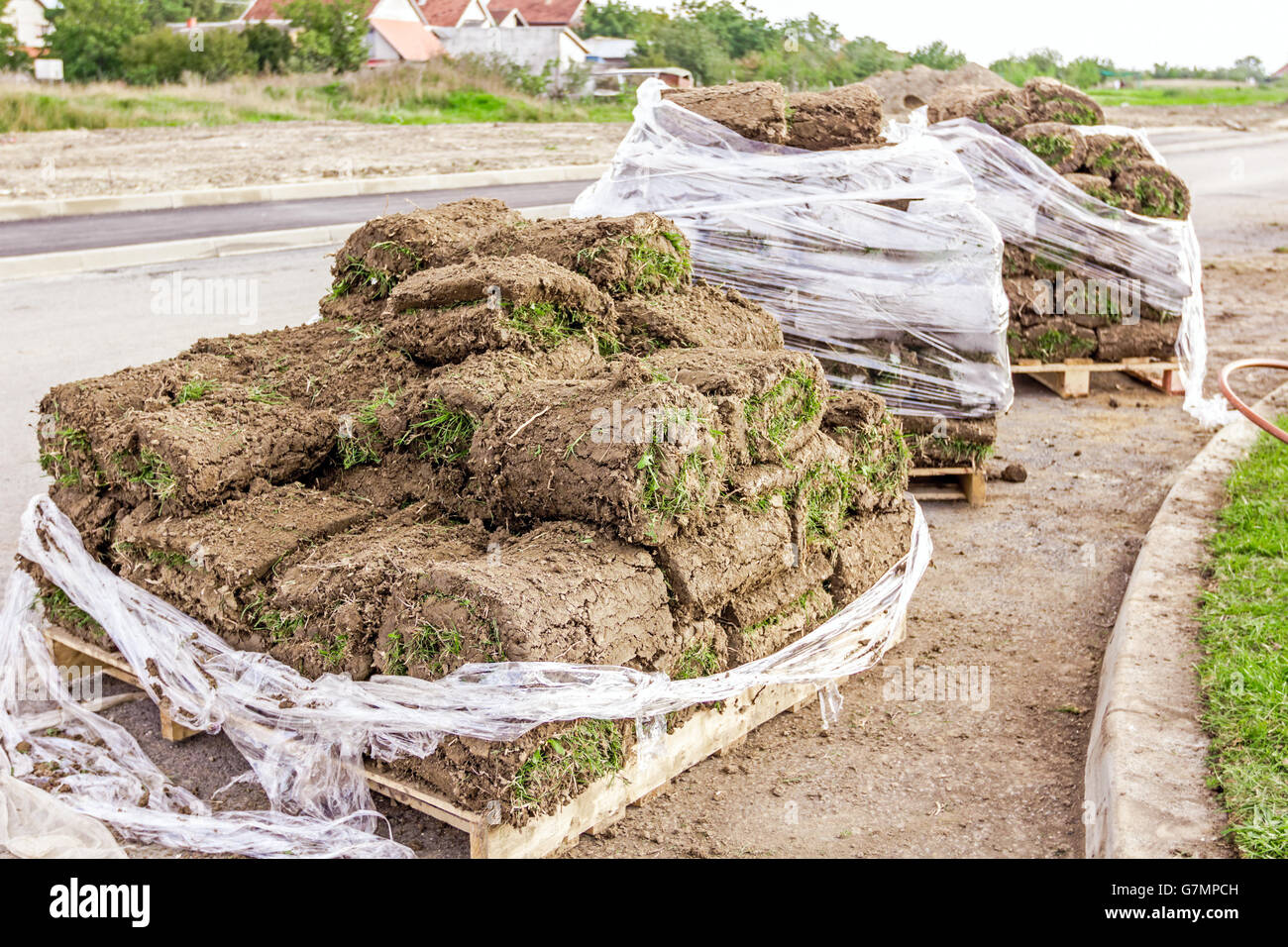 Stack of turf grass rolls for a lawn piled on wooden pallet Stock Photo