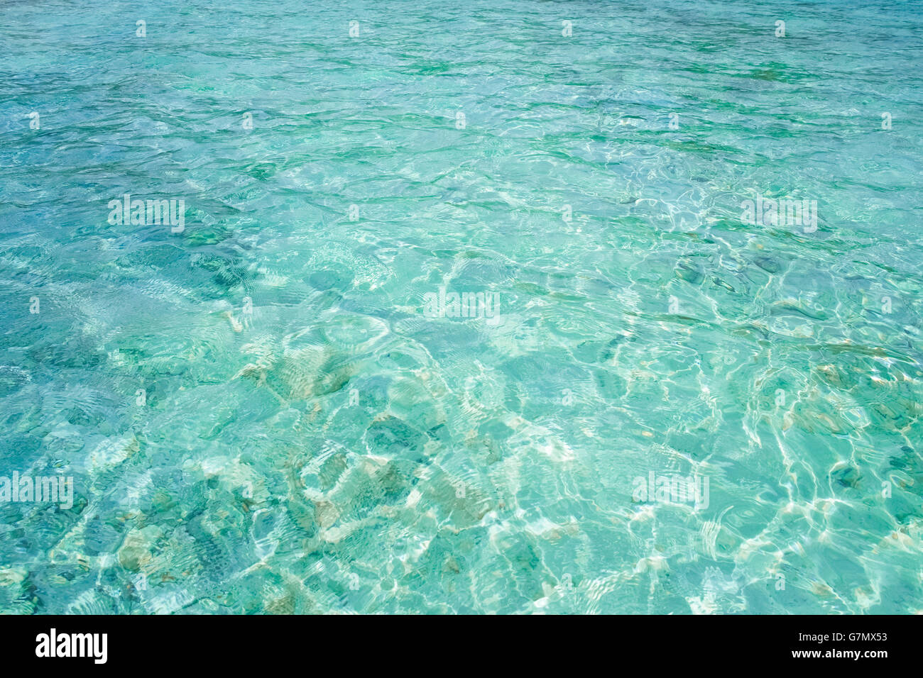 Clear water texture of the ocean floor on Craiyon