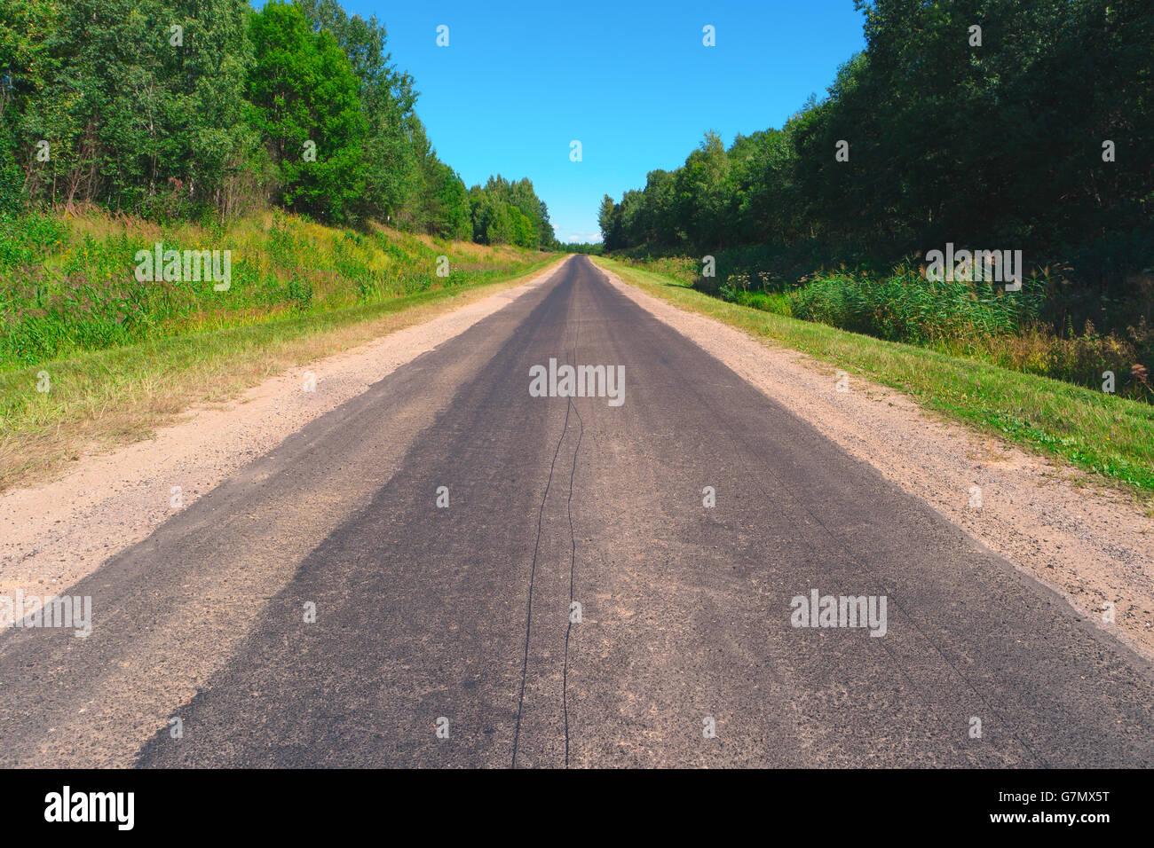 Empty highway through the trees, bushes and grass Stock Photo