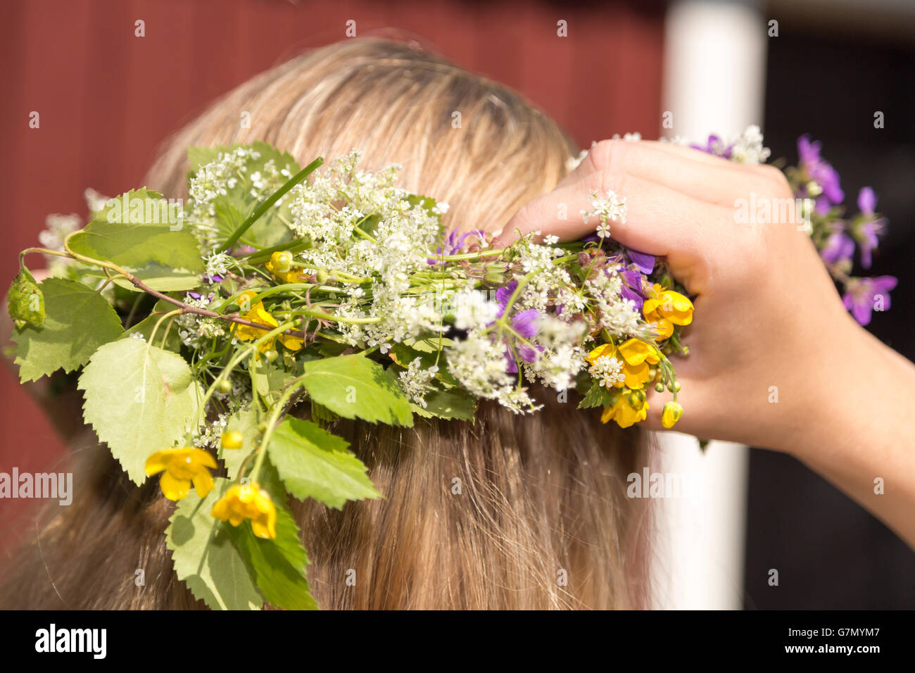 Swedish Midsummer Headgear Traditional on a female head of hair. Stock Photo