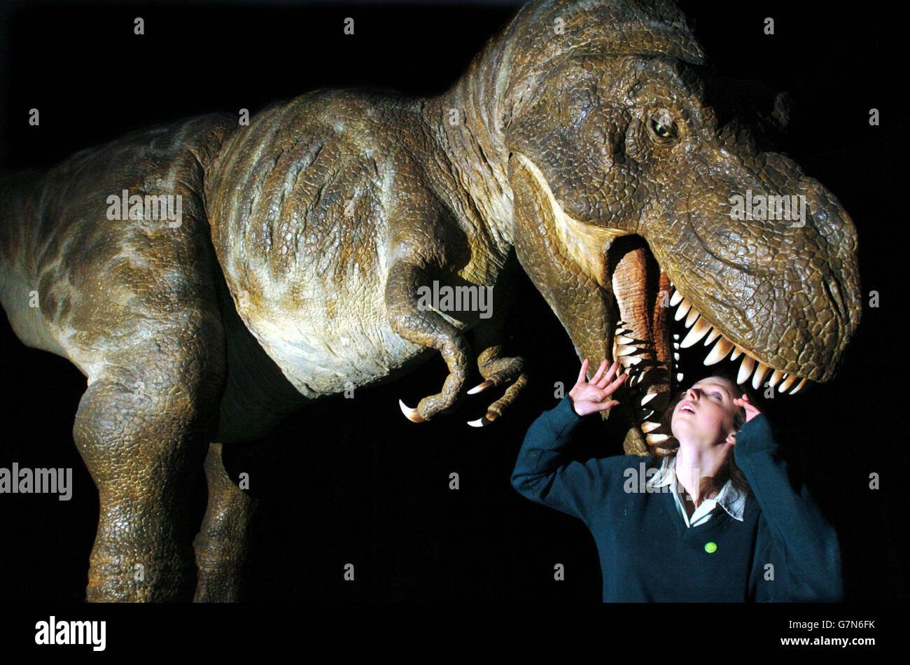 Sharon Quigley, 16, from the Holy Child School, Killiney, County Dublin, places her head in the jaws of an almost life-size Tyrannosaurus Rex. Stock Photo
