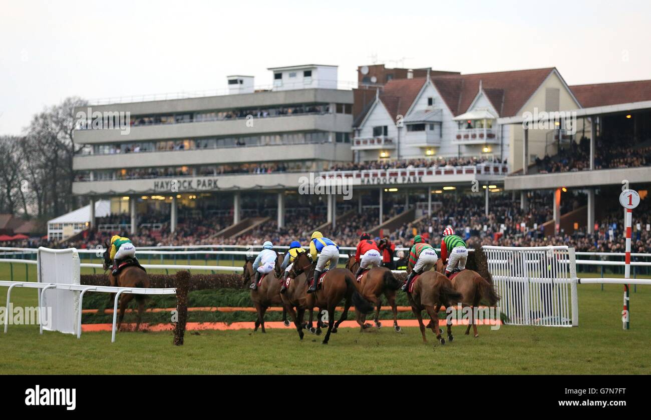 Runners and riders in The Betfred "Home of Goals Galore" Novices