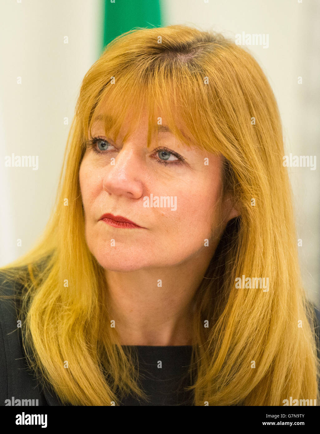 Kay Swinburne MEP at a public meeting on the TTIP EU/US free trade deal, at Europe House, in Westminster, London. PRESS ASSOCIATION Photo. Picture date: Monday February 16, 2015. Photo credit should read: Dominic Lipinski/PA Wire Stock Photo