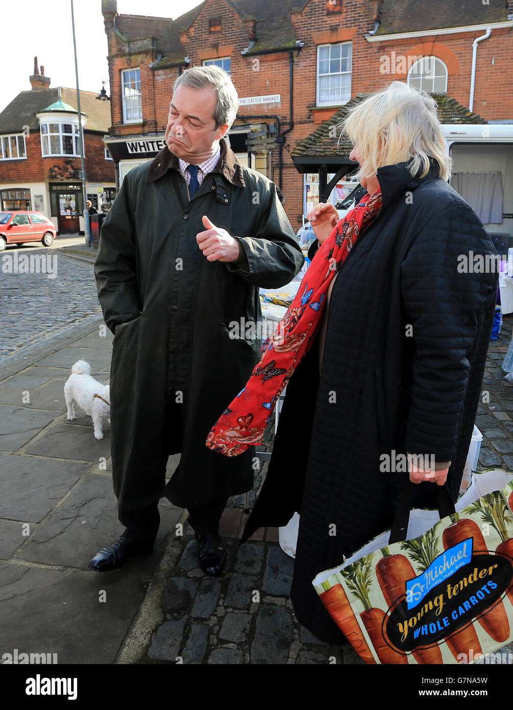Ukip Leader Nigel Farage during a walkabout in Sandwich, Kent Stock Photo -  Alamy