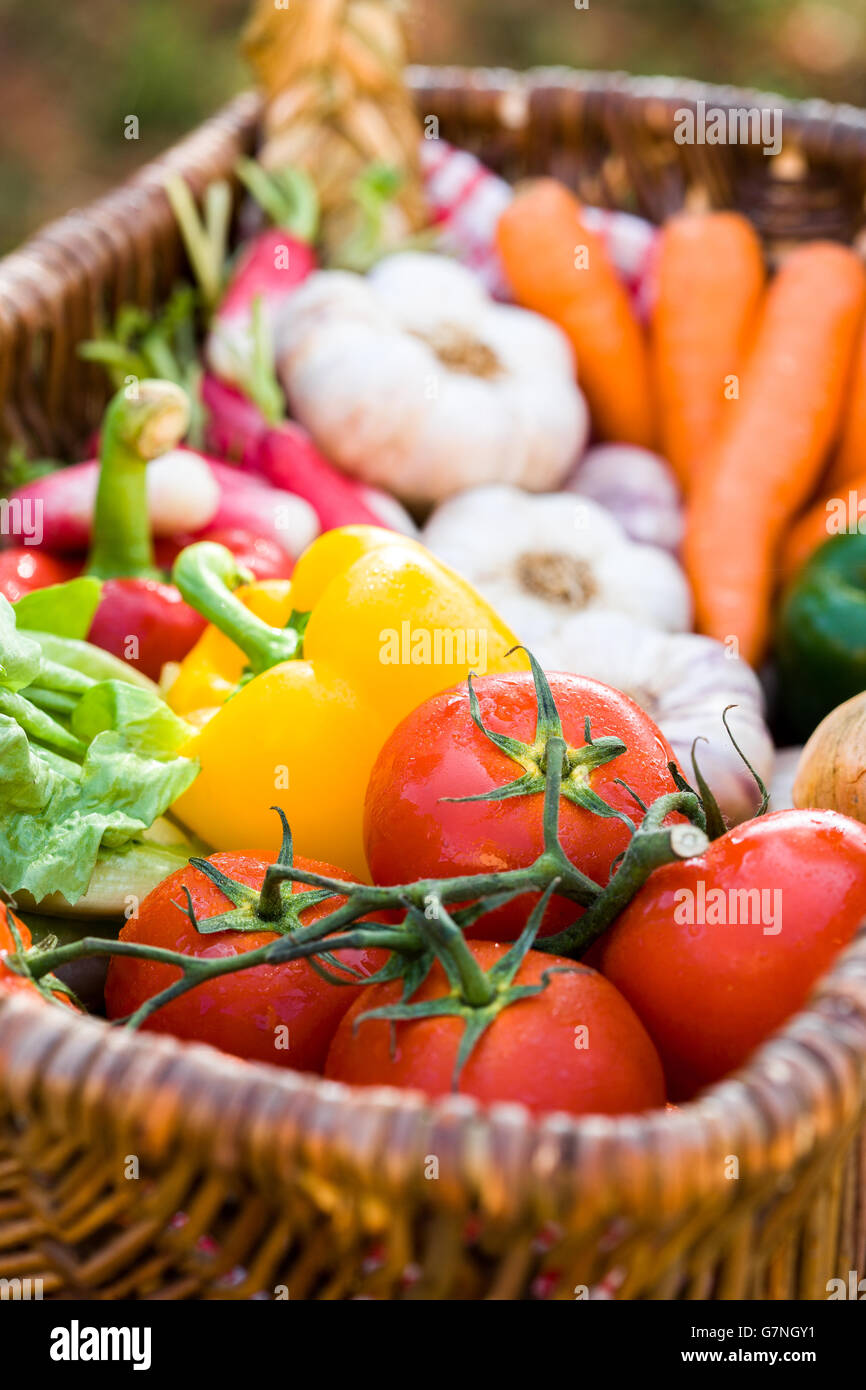 Fresh Vegetables in a Wicker Basket Stock Photo - Alamy