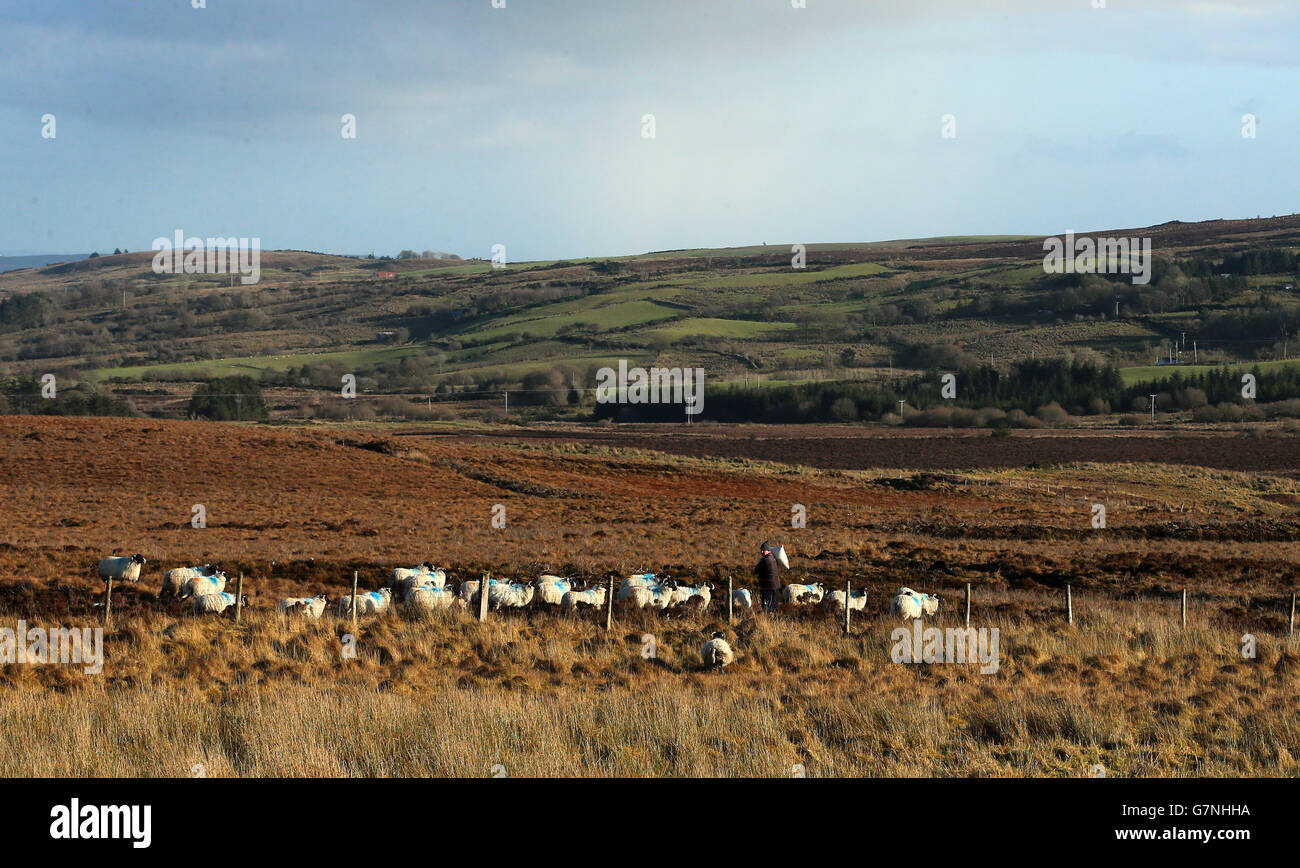 Farming County Tyrone, Northern Ireland Stock Photo Alamy