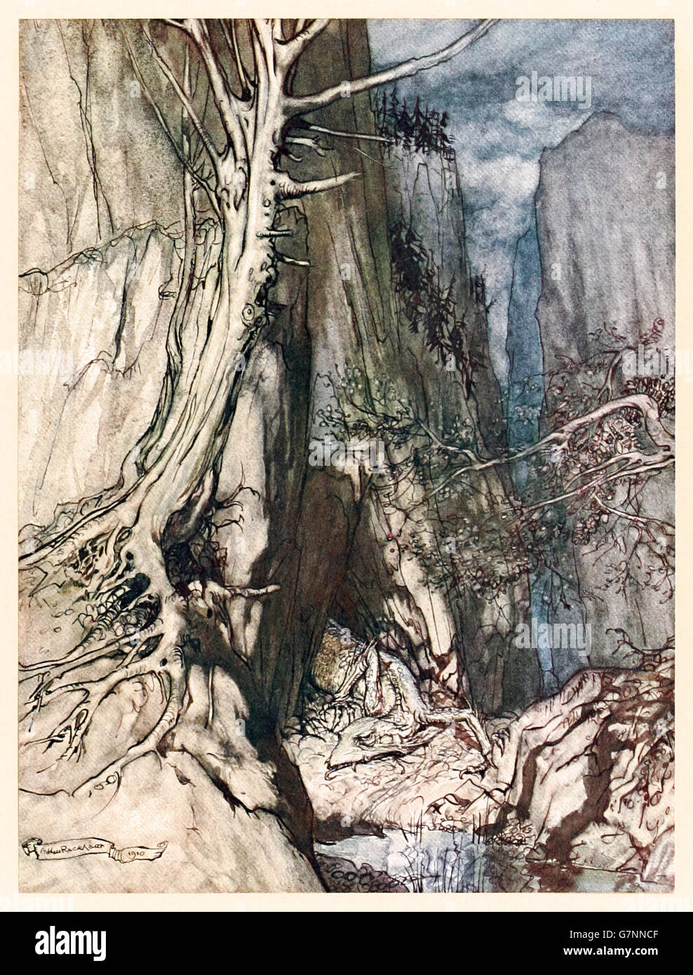 “There as a dread Dragon he sojourns, And in a cave Keeps watch over Alberich’s ring” from ‘The Rhinegold & the Valkyrie’ illustrated by Arthur Rackham (1867-1939), published in 1910. The giant Fafner transforms into a dragon guards his hoard in the forest. Stock Photo