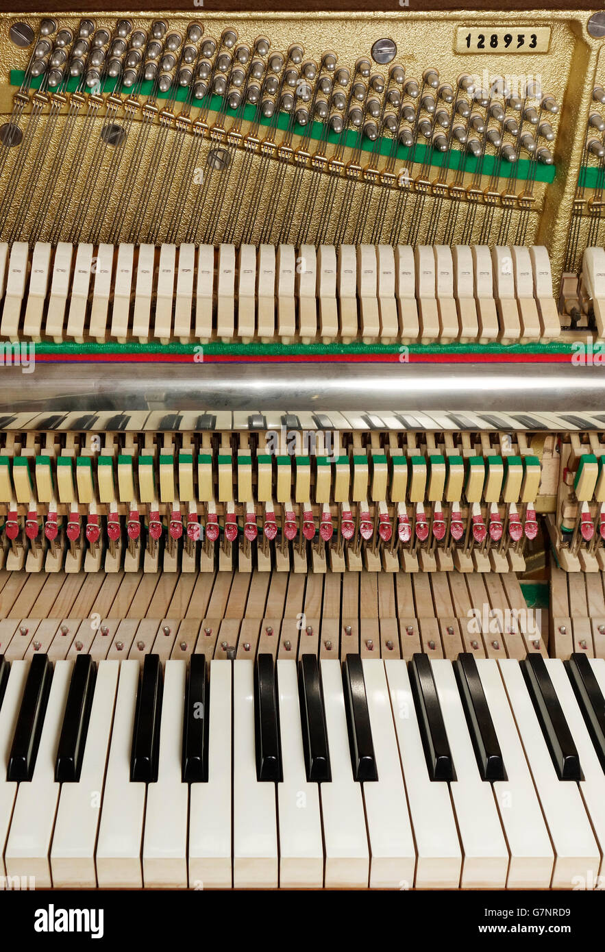 Close up. Upright piano keyboard and action mechanism with strings Stock  Photo - Alamy