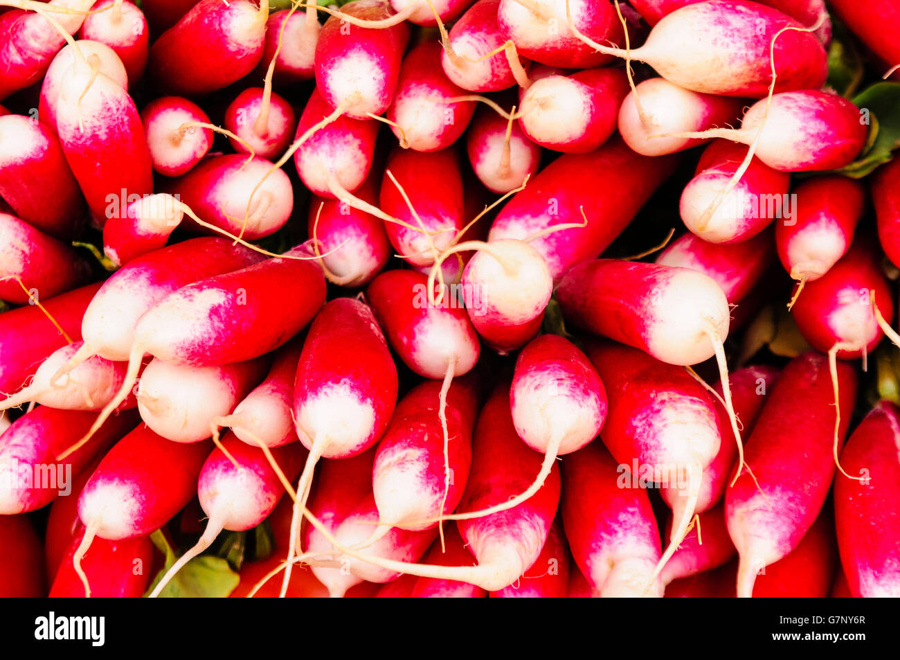Radishes piled up for sale at a market stall Stock Photo Alamy