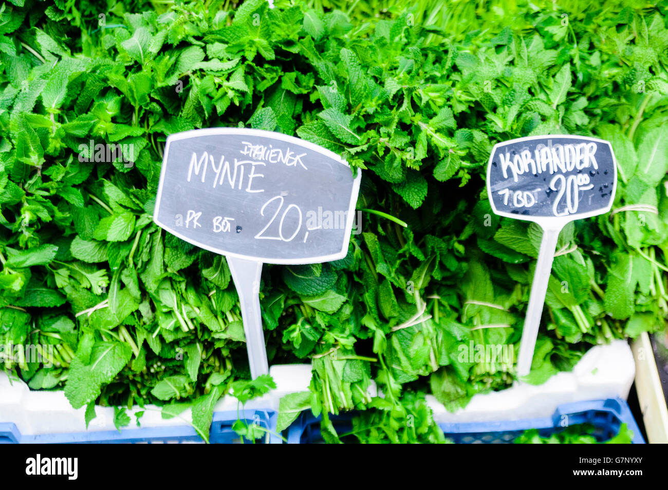 Mint and Coriander herbs (mynte, koriander) for sale at a Danish ...