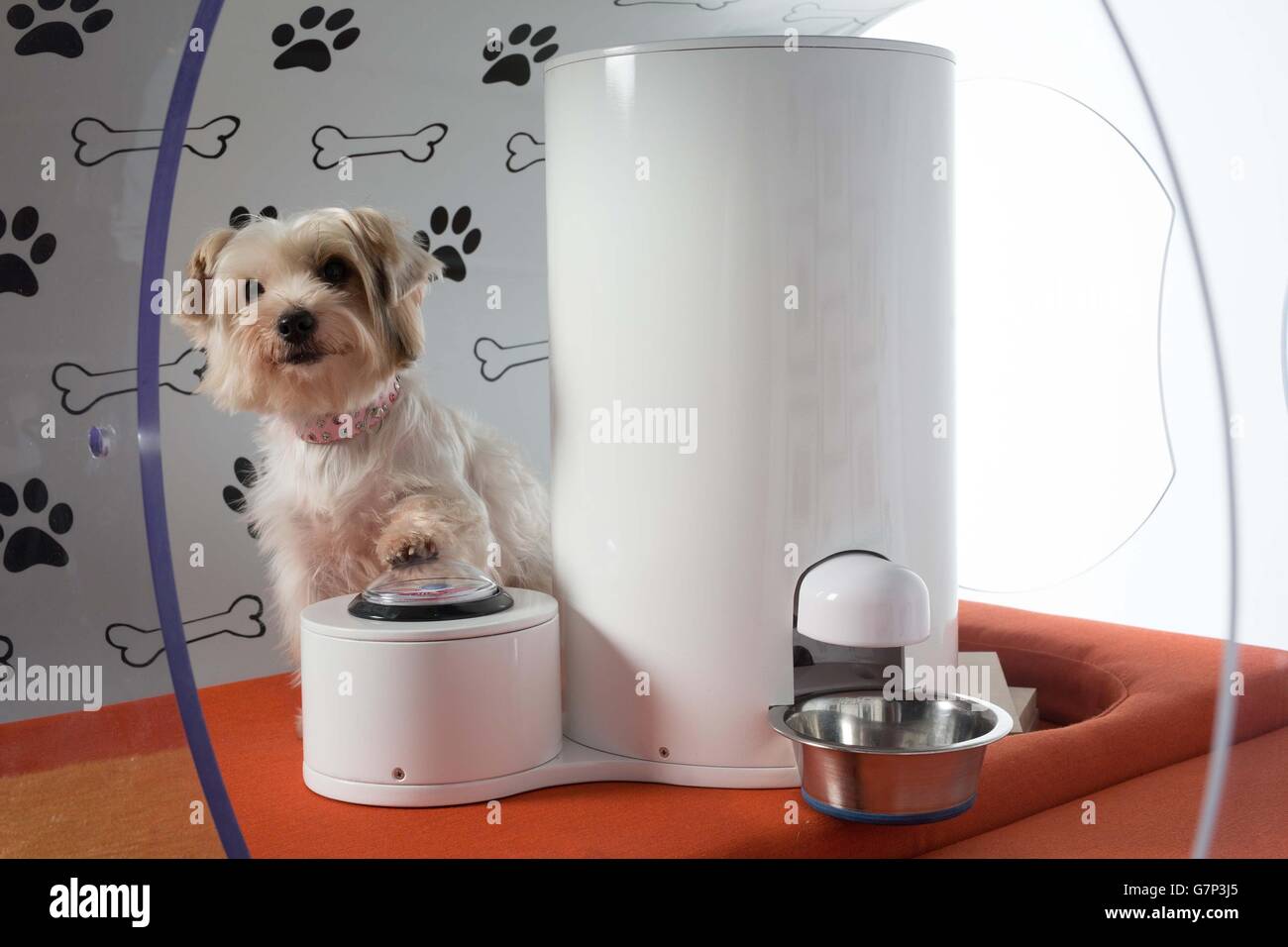 Samsung dog house 2025