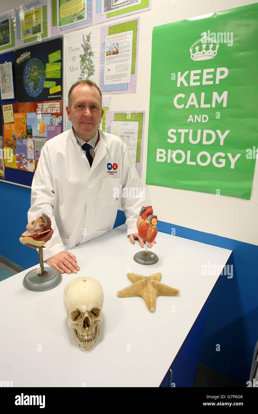 Best teacher in the world Stock Photo Alamy