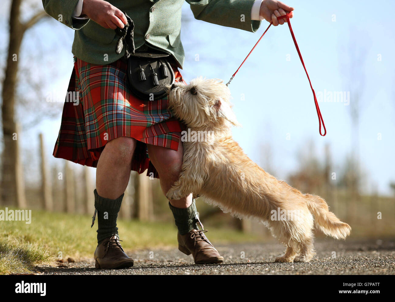 Kenny Allan, from Eyemouth, with Buzet the Dandie Dinmont Terrier, as they visit Sir Walter Scotts home at Abbotsford, Melrose, in the Scottish Borders, on the 200th anniversary of the publication of the book Guy Mannering which gave the breed its distinctive name. Stock Photo