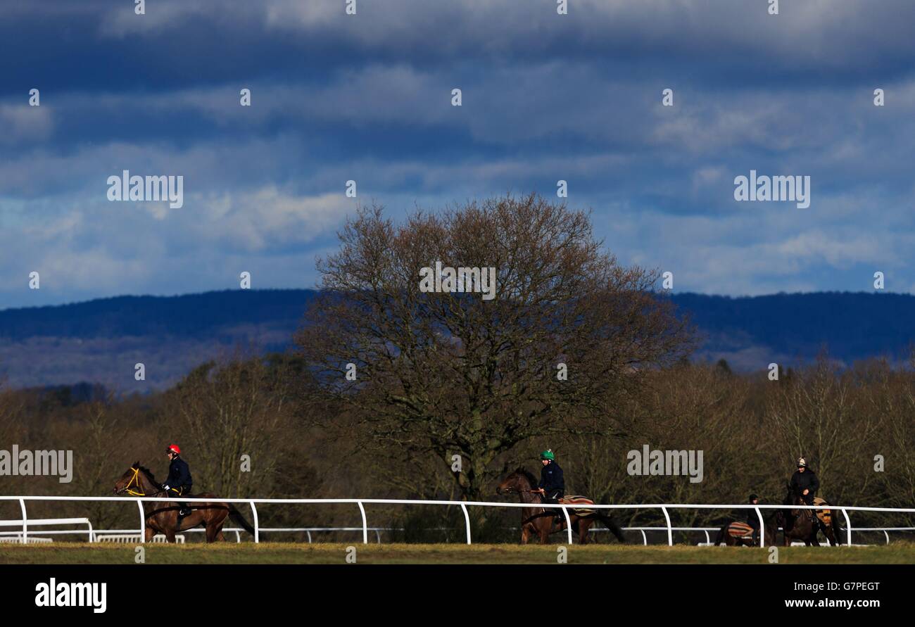 Horse Racing Gary Moore Stable Visit Cisswood Racing Stables