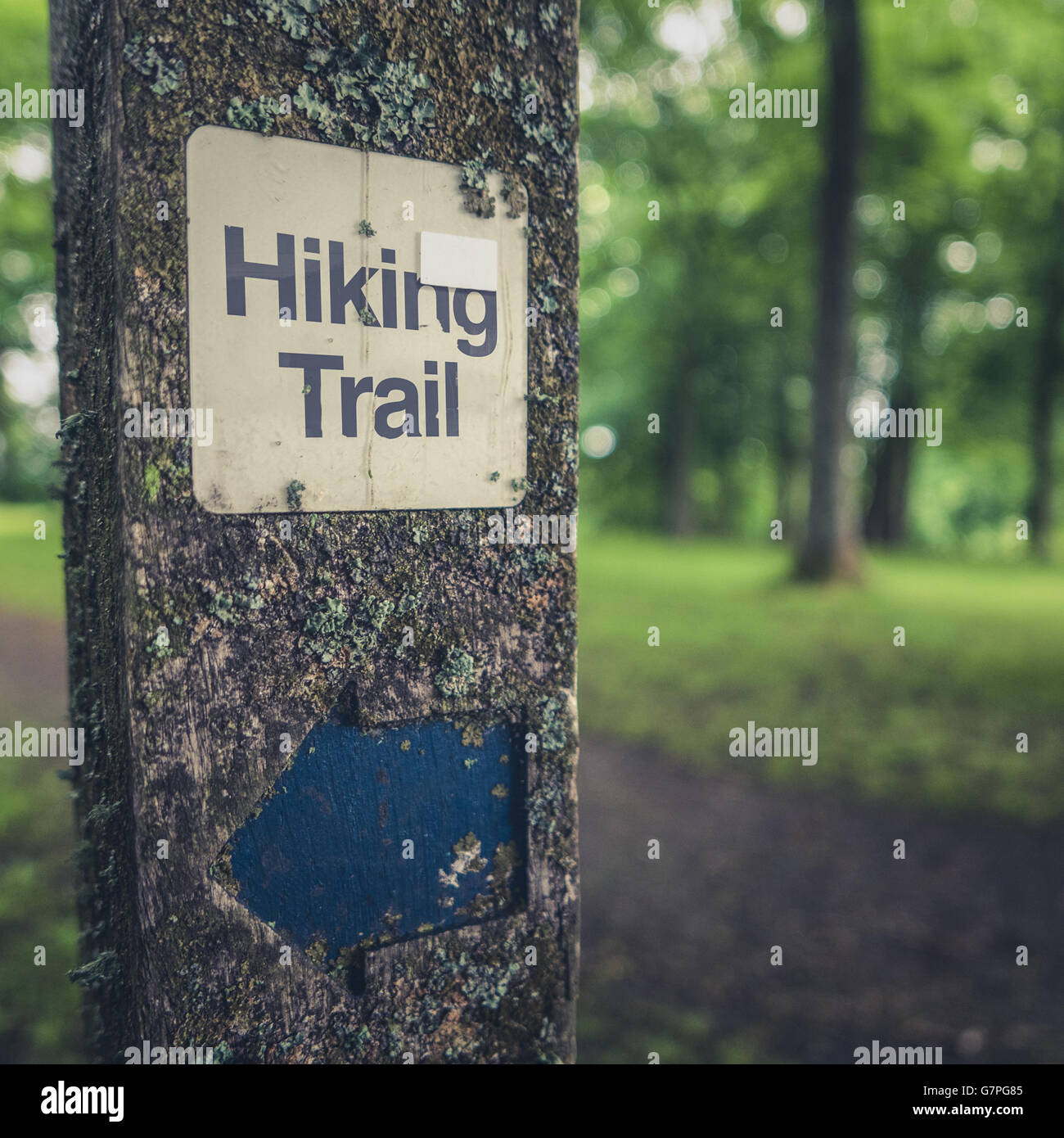 Hiking Trail Sign On A Wooden Post In A Forest Stock Photo