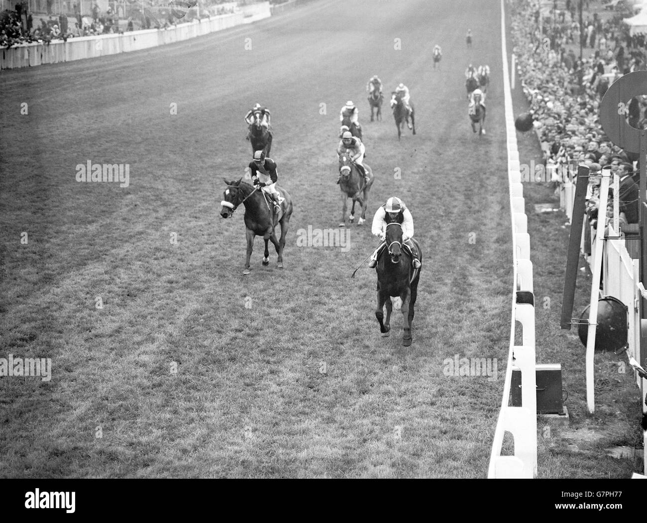 Win oaks stakes epsom hires stock photography and images Alamy