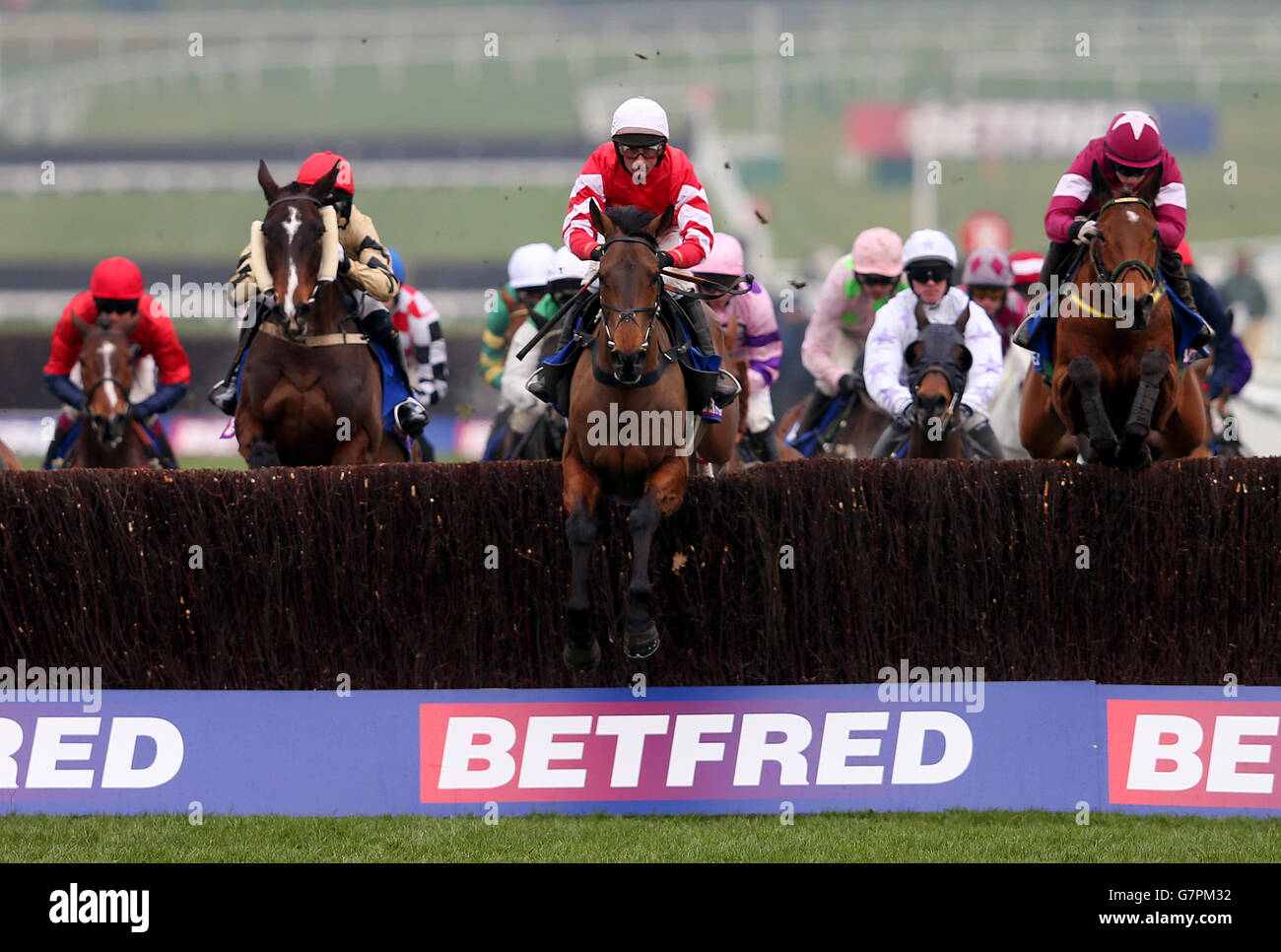 Horse Racing - 2015 Cheltenham Festival - Gold Cup Day - Cheltenham Racecourse. Coneygree ridden by jockey Nico de Boinville prior to winning the Betfred Cheltenham Gold Cup Chase Stock Photo