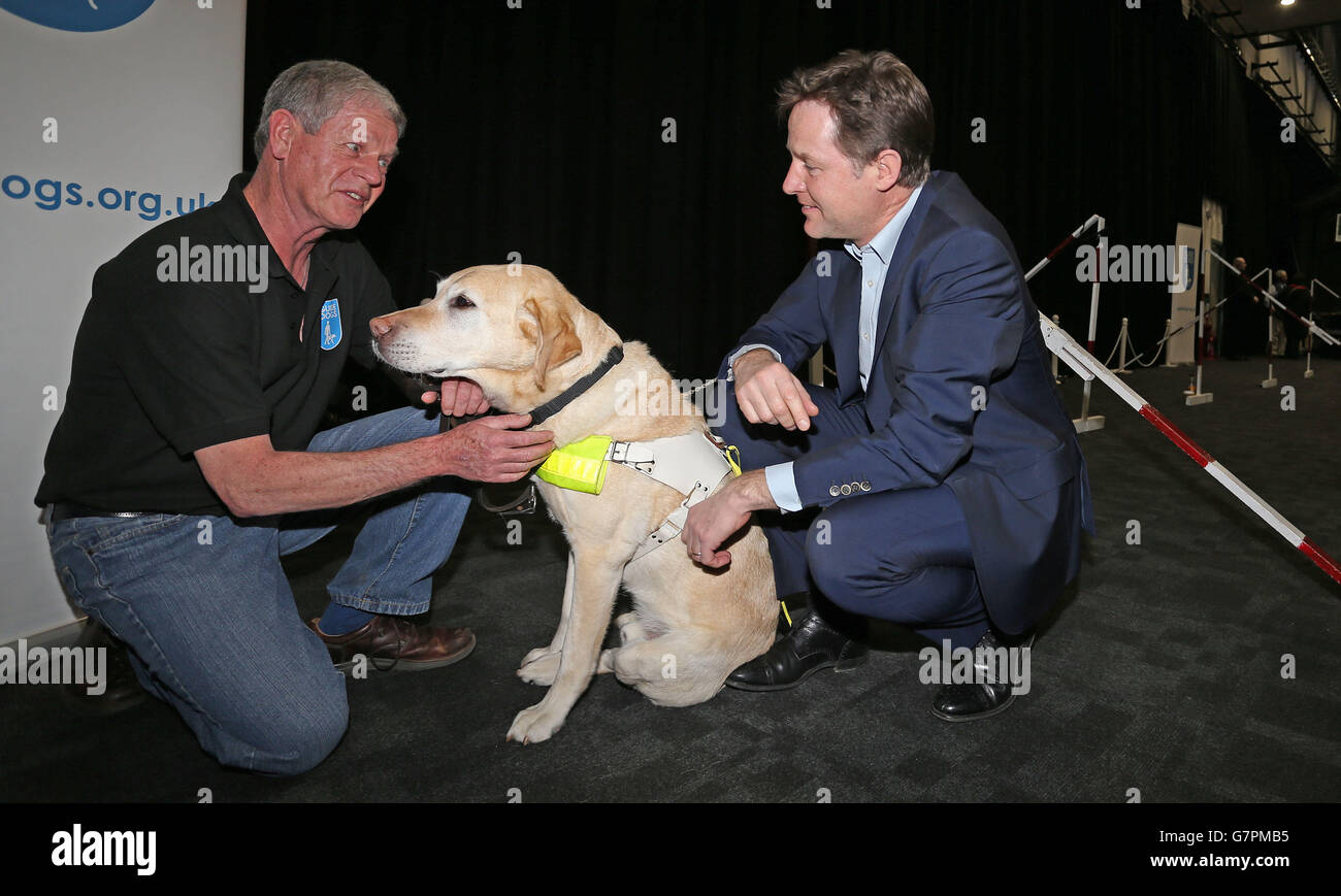 Deputy Prime Minister Nick Clegg meets Delphi a Labrador from Guide Dogs for the Blind Association, as he arrives at the Liberal Democrats Spring Conference at the BT Convention Centre in Liverpool. Stock Photo