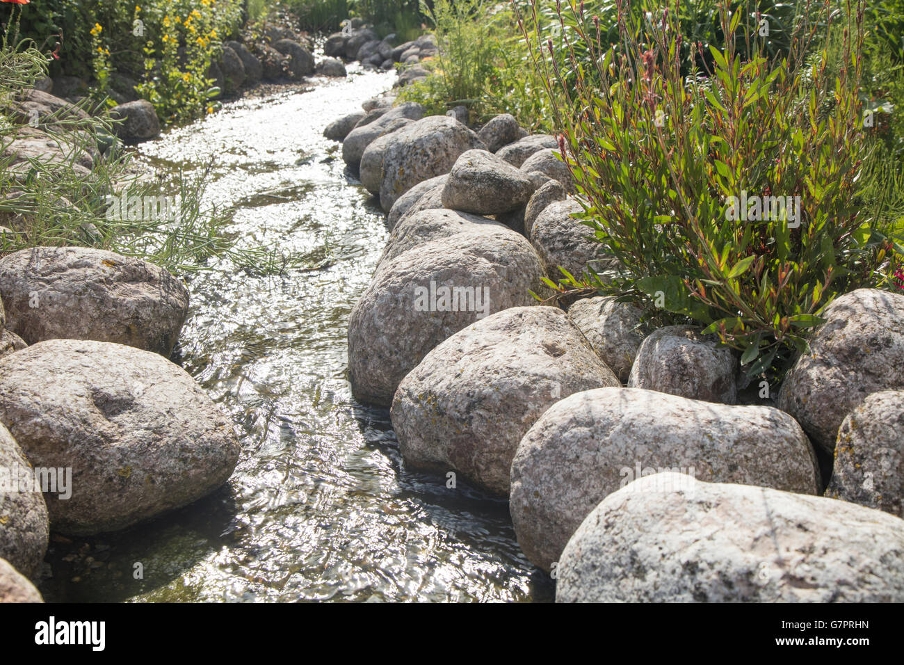 Ancient Stream Bed Rounded Rocks River with rounded stones with vegetation and light sun reflecting on ...