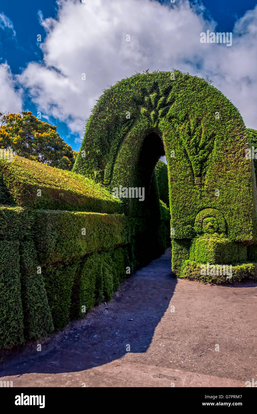 Tulcan Is The Capital Of The Province Of Carchi In Ecuador, South America, Is Known For Three-Acre Topiary Garden Cemetery Stock Photo