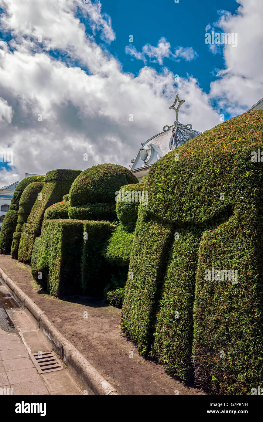 Tulcan Is Known For Three Acre Topiary Garden Cemetery, Ecuador, South America Stock Photo