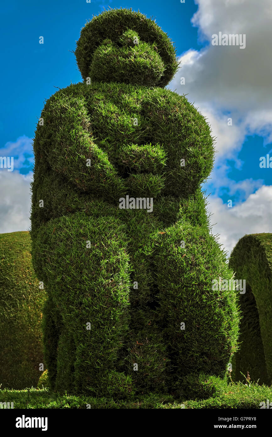 Tulcan, Ecuador, Topiary Cemetery Which Features Different Types Of Trees In A Variety Of Exotic Shapes, Animals, Archways Stock Photo