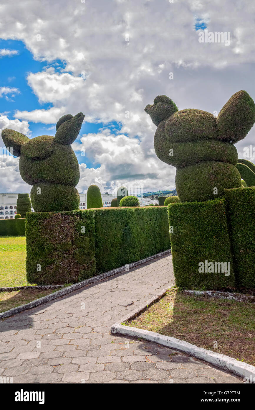 The Cemetery Of Tulcan, Ecuador, South America, Known For Elaborately Trimmed Cypress Bushes Inspired More Than 300 Figures Stock Photo