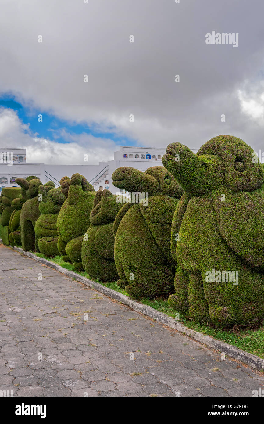 The Main Attraction In Tulcan, Ecuador, South America Is The Topiary Garden Cemetery Where Features Different Types Of Trees Stock Photo