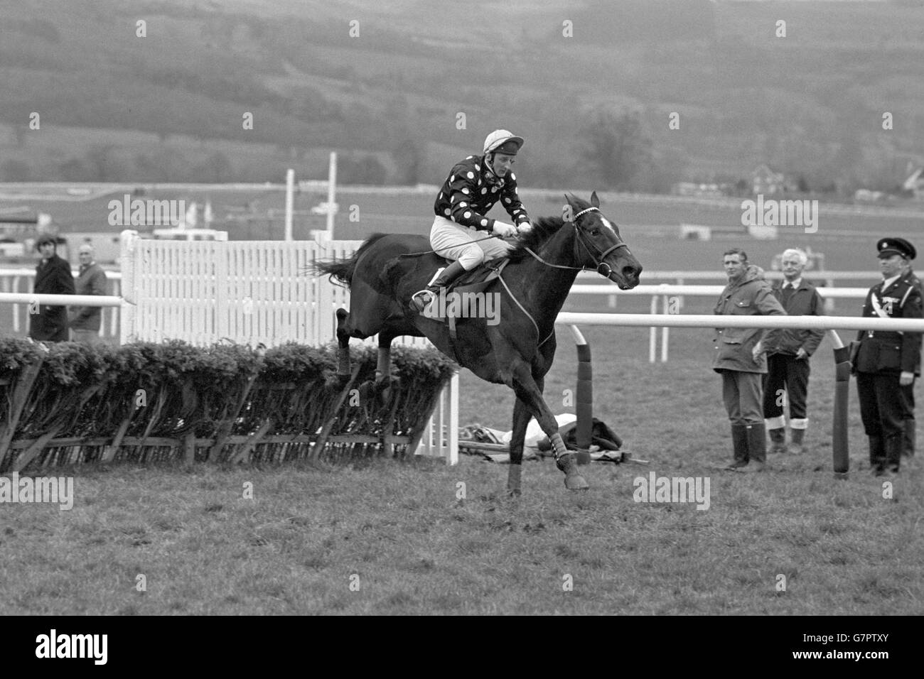 Horse Racing - The Coral Golden Hurdle - Cheltenham. Willie Wumpkins, Jim Wilson up, clears the last fence on his way to victory Stock Photo