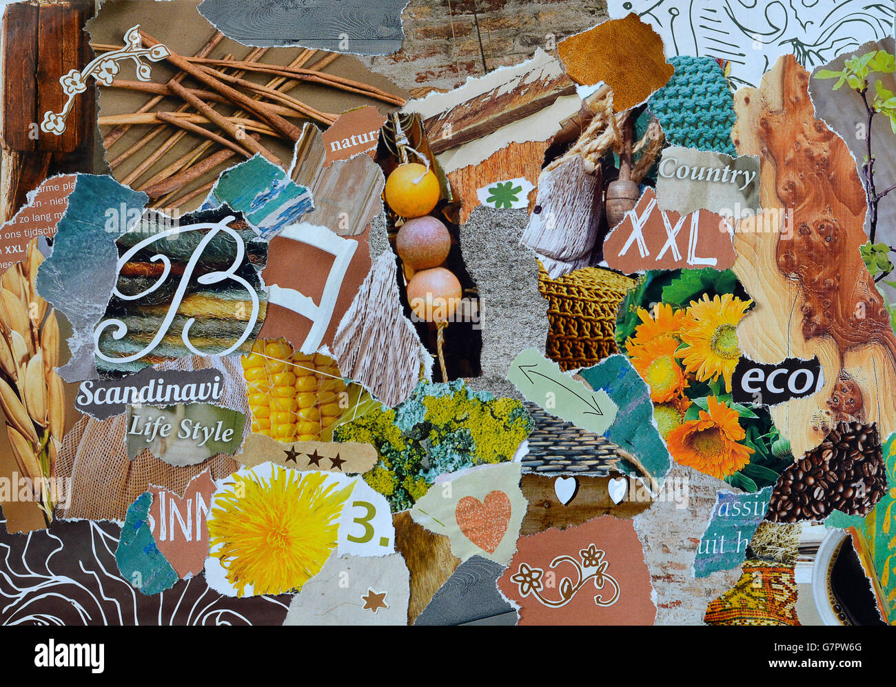 Creative Atmosphere art mood board collage sheet in colorful nature made of teared magazines and