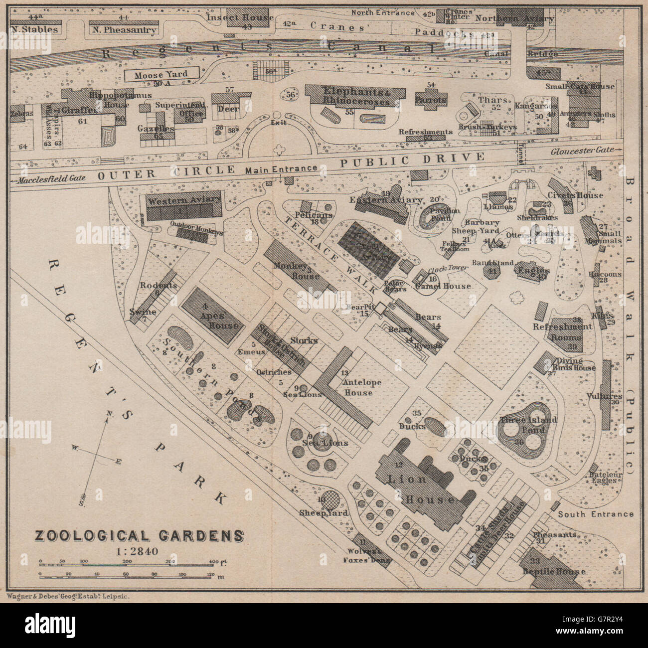 London ZOOLOGICAL GARDENS ground plan. Regent's Park. ZSL London Zoo, 1905 map Stock Photo
