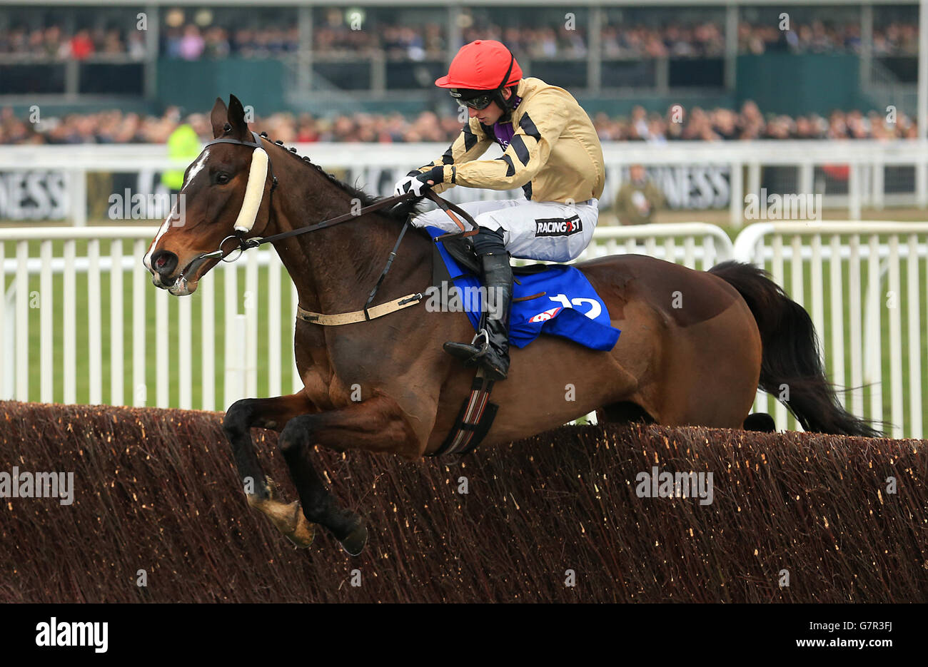 Horse Racing - 2015 Cheltenham Festival - Gold Cup Day - Cheltenham Racecourse. Jockey Mr P W Mullins on On His Own during the Betfred Cheltenham Gold Cup Chase. Stock Photo
