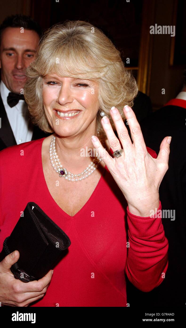 Camilla Parker Bowles in the grand reception room of Windsor Castle ...