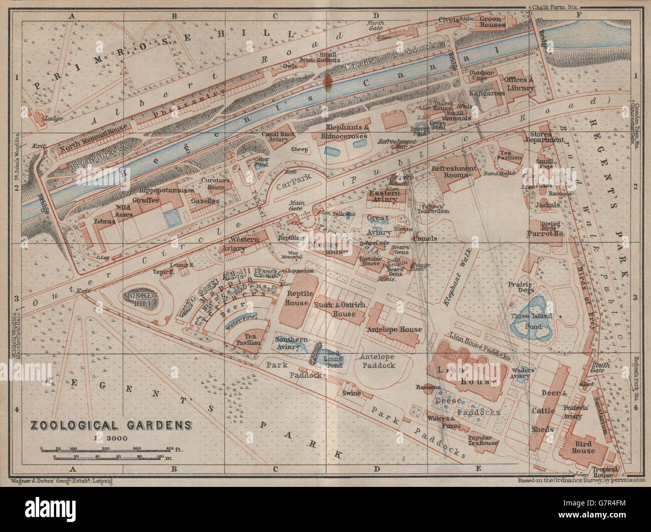 London ZOOLOGICAL GARDENS ground plan. Regent's Park. ZSL London Zoo, 1930 map Stock Photo