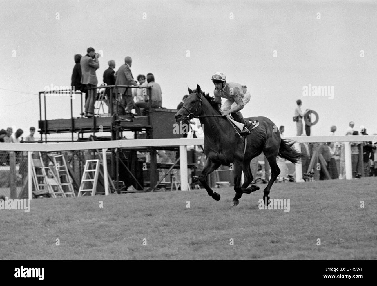 Caerleon (USA), a three-year old Bay Colt ridden by jockey Pat Eddery. Owned by Robert Sangster the animal is trained by Vincent O'Brien in Ireland. Breeders are Claiborne Farm, USA. Stock Photo