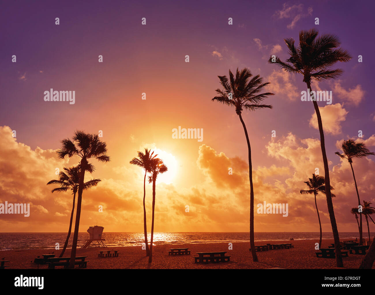 Fort Lauderdale beach morning sunrise in Florida USA palm trees Stock