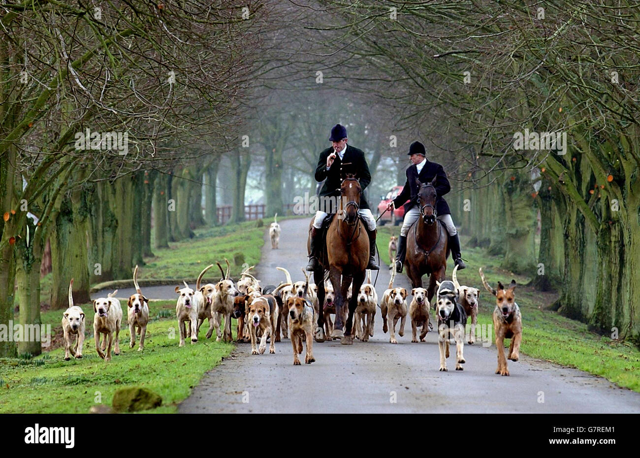 Duke Of Beaufort Stock Photos & Duke Of Beaufort Stock Images Alamy