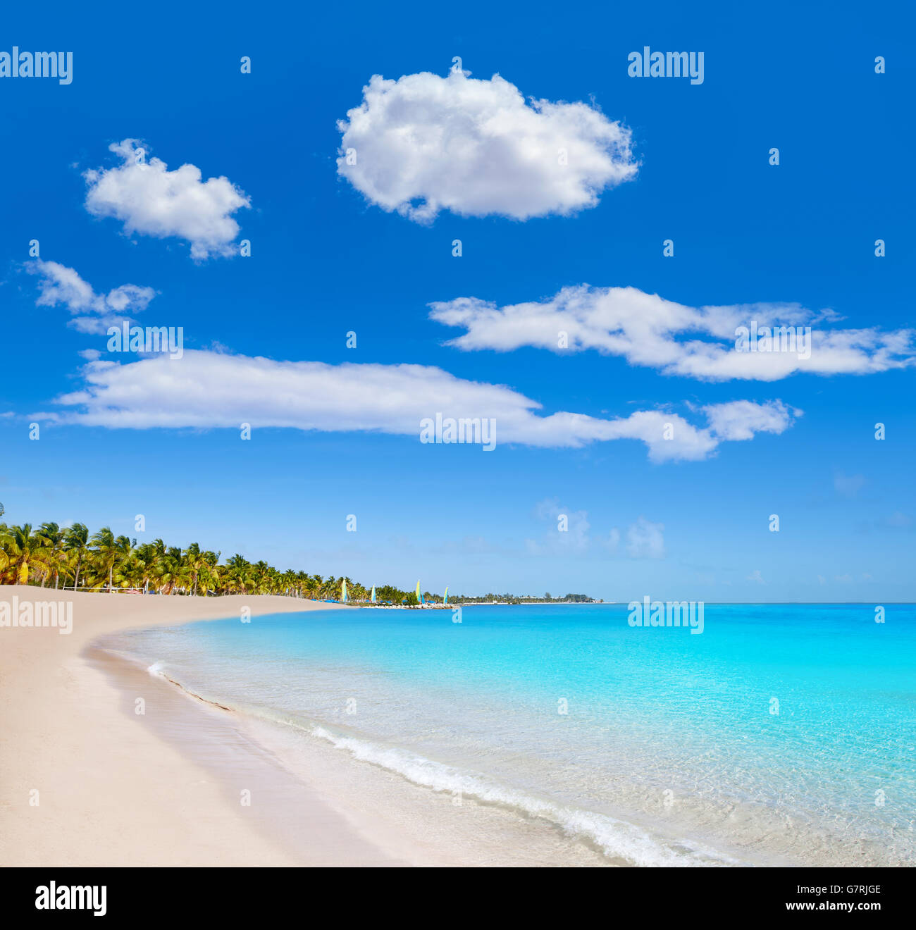 Key west florida Smathers beach palm trees in USA Stock Photo