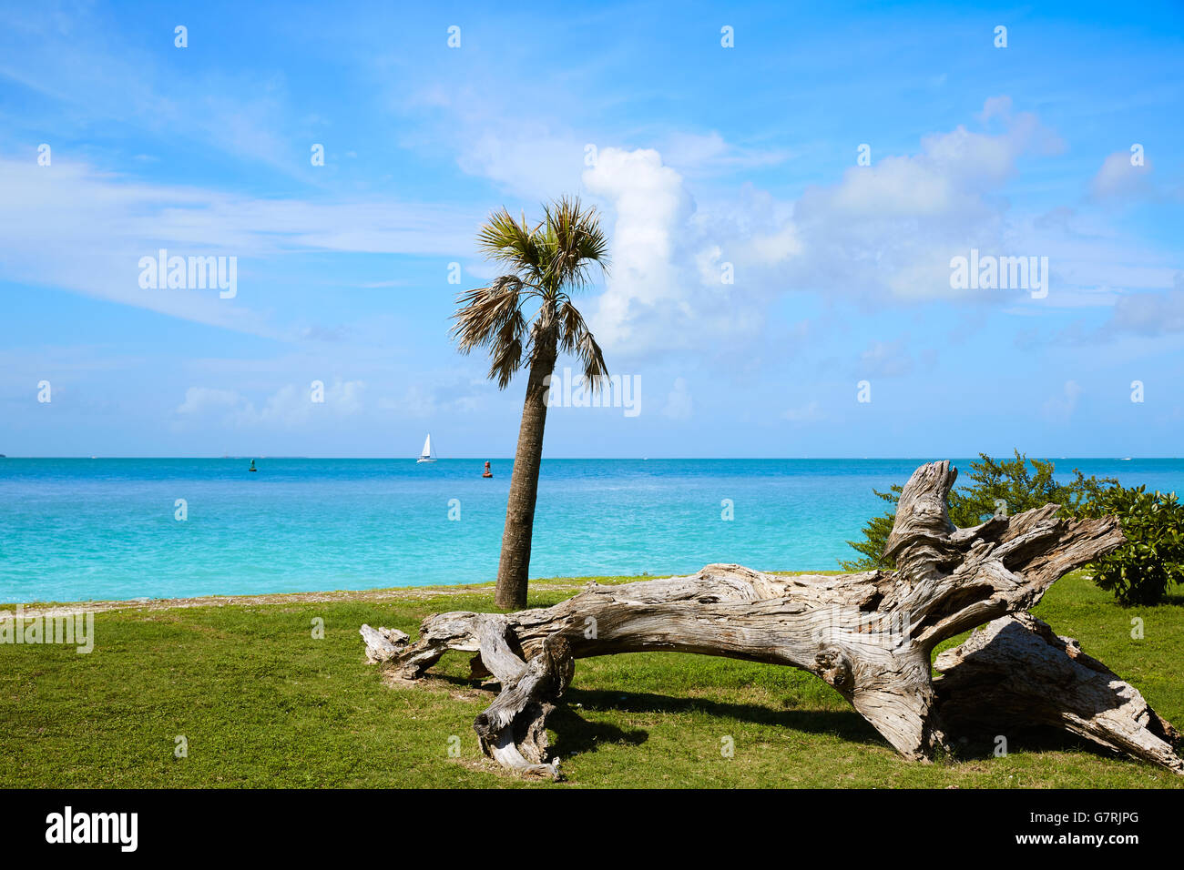 Fort Zachary Taylor Beach Hi res Stock Photography And Images Alamy fort-zachary-taylor-beach-hi-res-stock-photography-and-images-alamy
