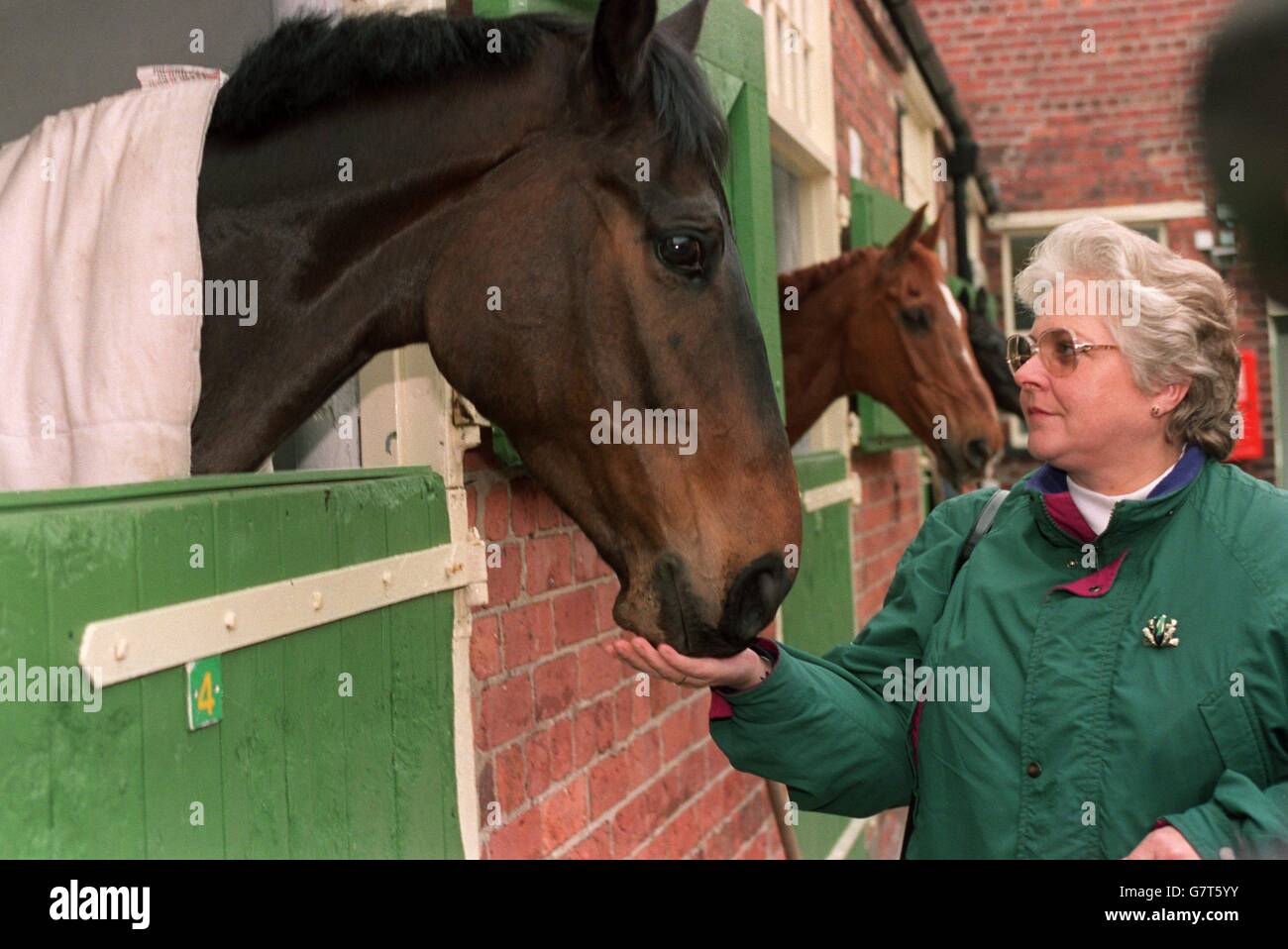 HORSE RACING horses staying at Haydock Park stables after Grand