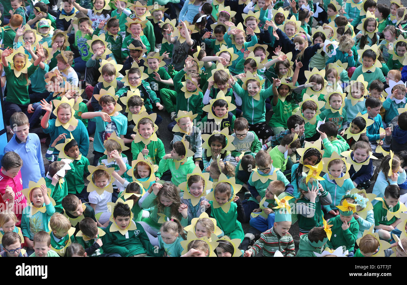 Daffodil Day for Irish Cancer Society Stock Photo Alamy