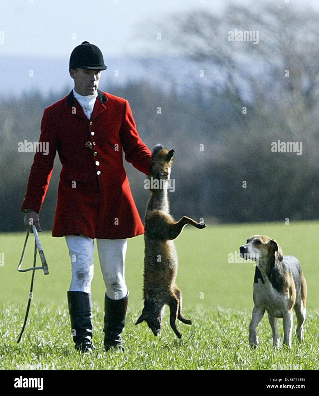 first-day-of-hunting-ban-stock-photo-alamy
