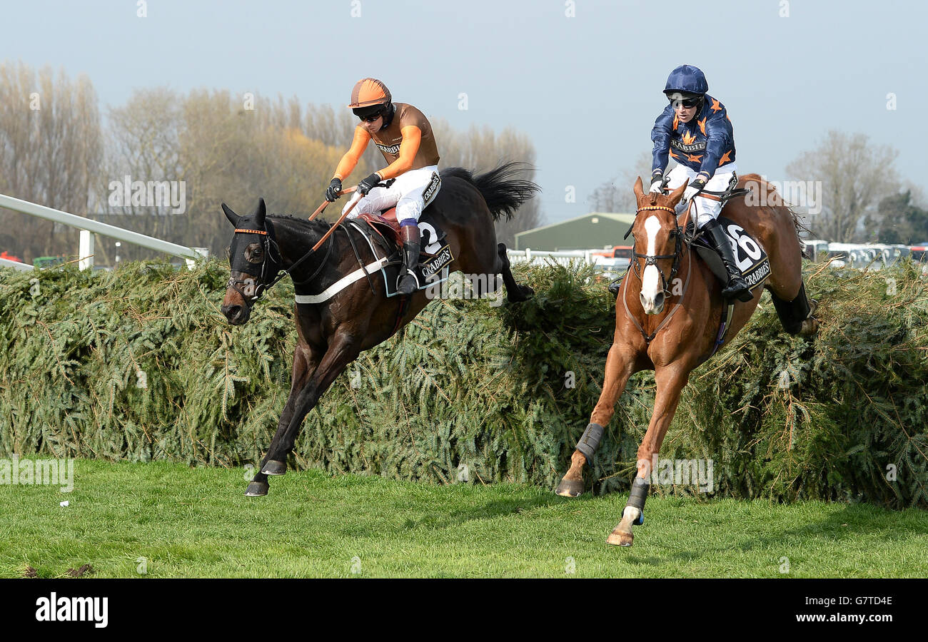 Rajdhani Express (left) ridden by Sam Waley-Cohen clears the final fence to win The Crabbie's Topham Steeple Chase, with Fairy Rath (right) during Ladies Day of the Crabbies Grand National Festival at Aintree Racecourse, Liverpool. PRESS ASSOCIATION Photo. Picture date: Friday April 10, 2015. See PA story RACING Aintree. Photo credit should read: Martin Rickett/PA Wire Stock Photo