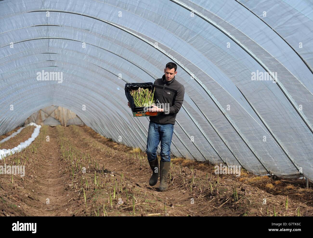 Operations manager Paul McGuffie Hibbs at New Farm Produce Ltd in Lichfield, Staffordshire