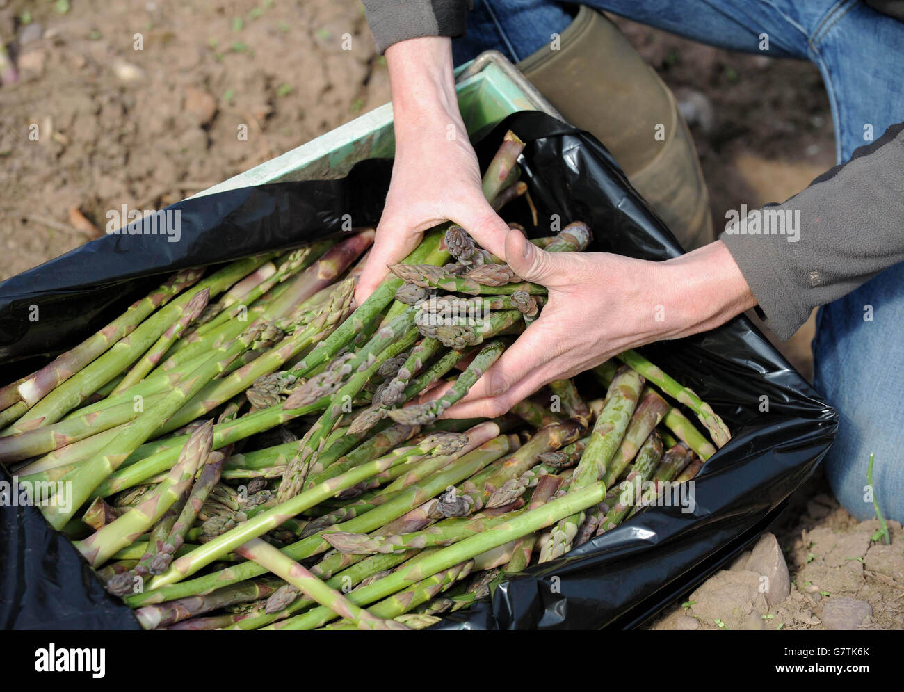 Prepare for new crop hires stock photography and images Alamy