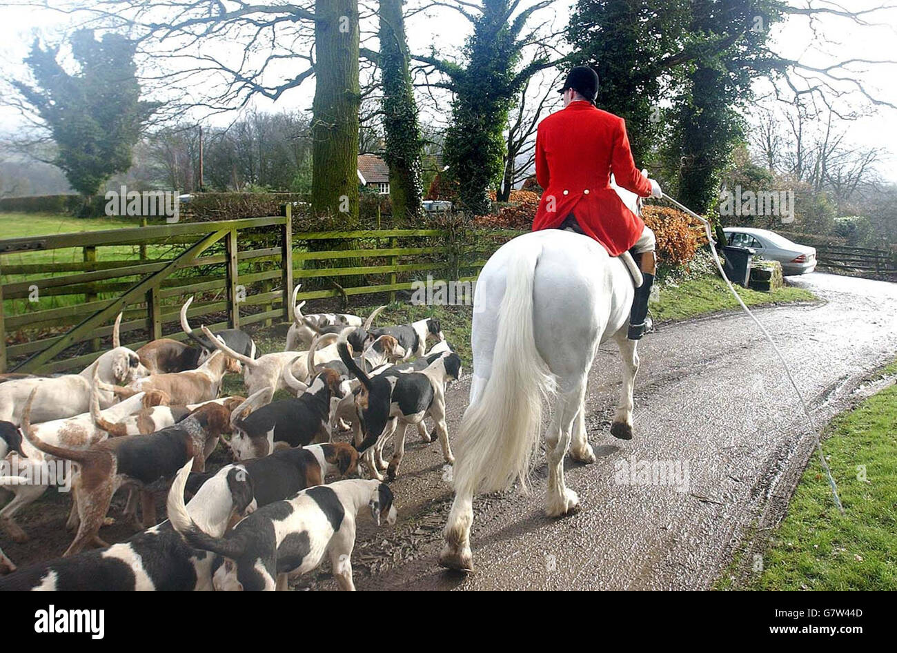 Setting off for the final time before the hunting with dogs ban