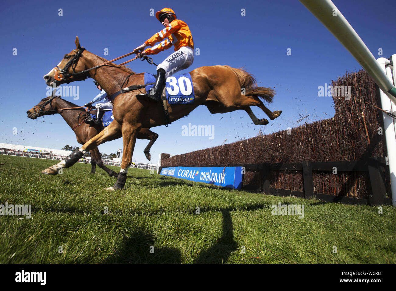 Horse Racing - 2015 Coral Scottish Grand National Festival - Day Two - Ayr Racecourse. Jockey Gavin Sheehan on Drop Out Joe during the Coral Scottish Grand National Handicap Chase Stock Photo
